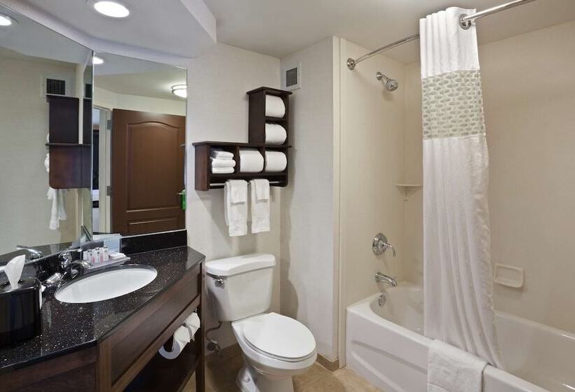 Студио Стандарт Кровать Кинг, Hampton Inn Dubois