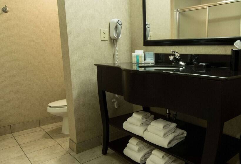 استودیوی استاندارد, Hampton Inn Spring Lake Fayetteville