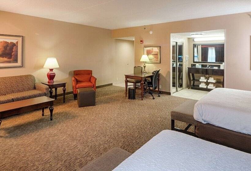 استودیوی استاندارد, Hampton Inn Spring Lake Fayetteville