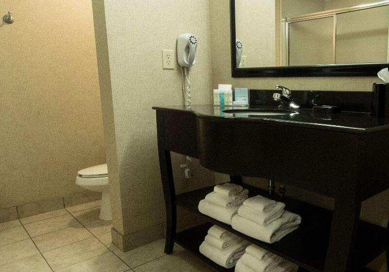 스탠다드 룸 킹사이즈 침대, Hampton Inn Spring Lake Fayetteville
