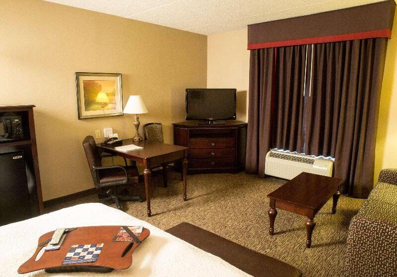 اتاق لوکس با تخت بزرگ, Hampton Inn Spring Lake Fayetteville
