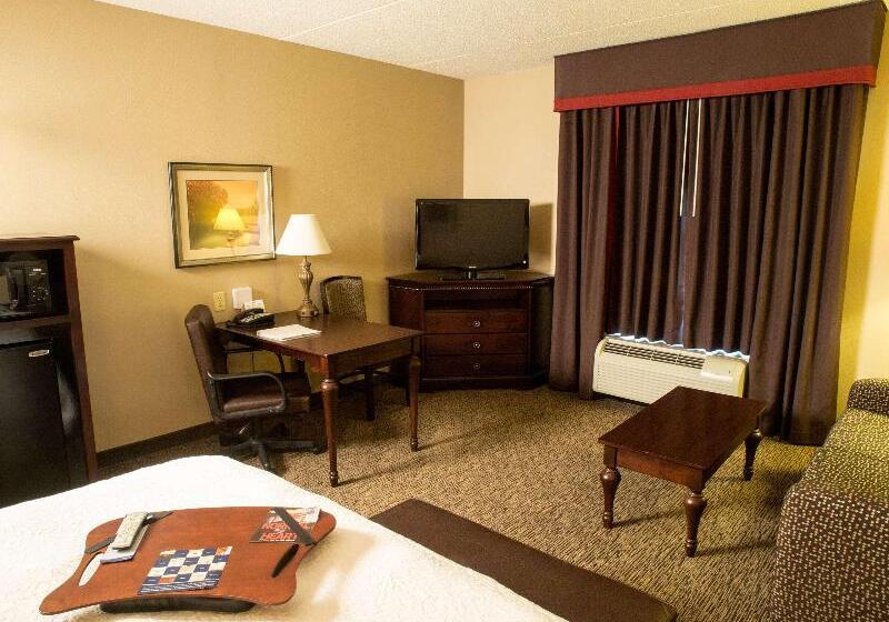 스탠다드 룸 킹사이즈 침대, Hampton Inn Spring Lake Fayetteville