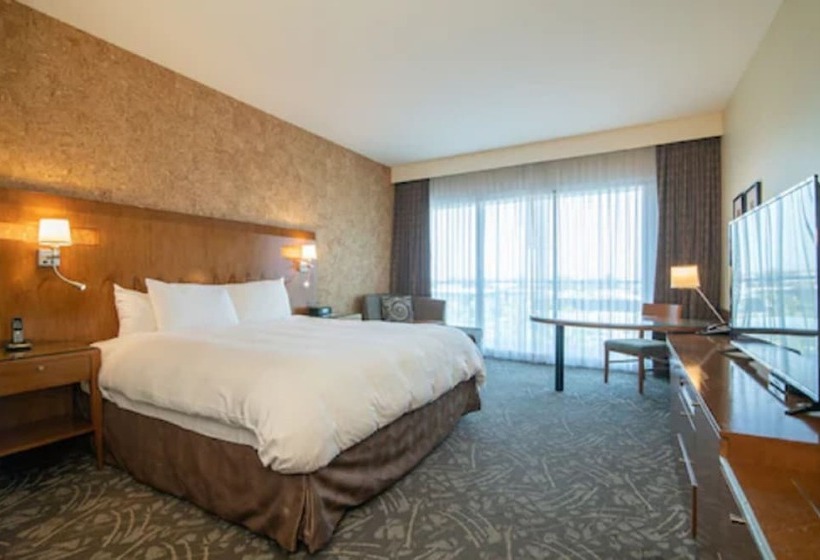 Номер Executive, Miyako Hybrid Hotel Torrance