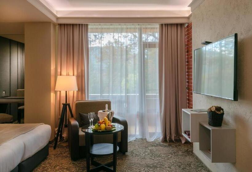 اتاق لوکس با بالکن, Spa Hotel Calista