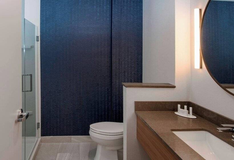 套房, Fairfield By Marriott Inn & Suites Grand Rapids North