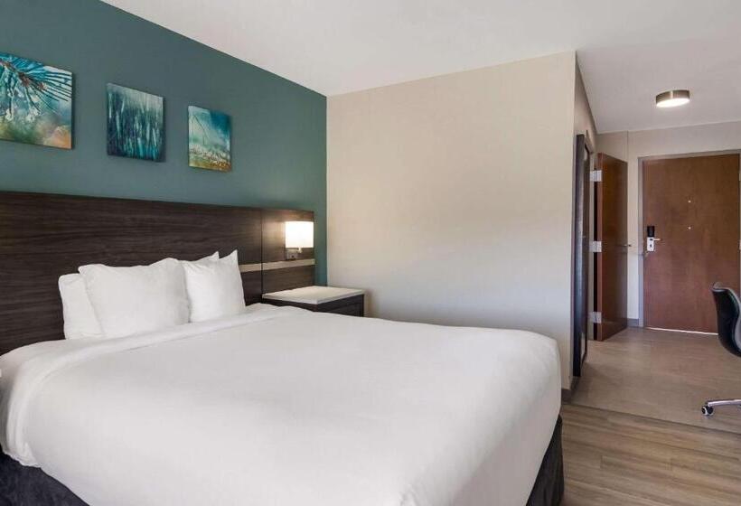 스위트 킹사이즈 침대, Mainstay Suites Clarion, Pa Near I80