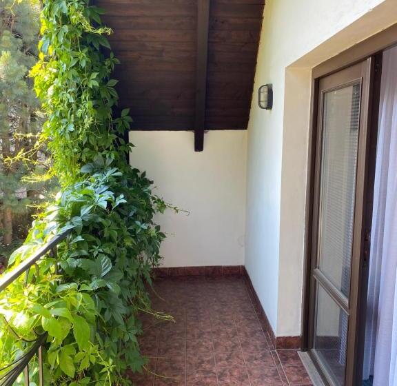 Трехместный Номер Стандарт с Балконом, Penzion Country Club