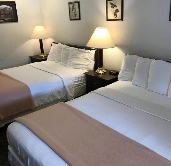 디럭스 룸, Gold Pan Lodge