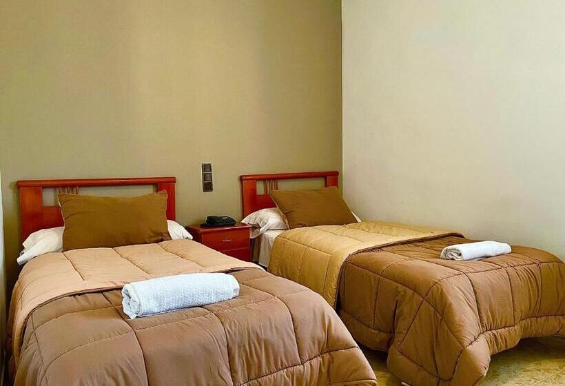 单人经济间, Hostal Torresmancha