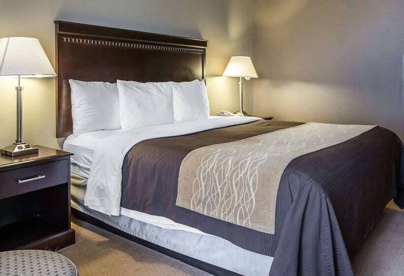 스위트, Comfort Inn & Suites Near Tinley Park Amphitheater