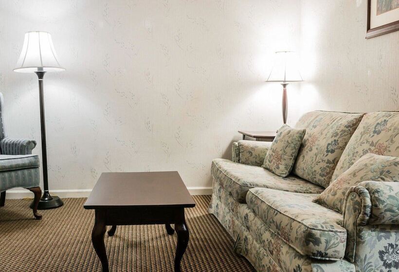 Люкс, Econo Lodge & Suites