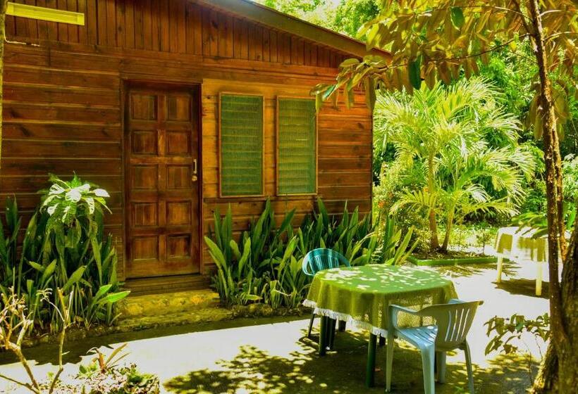 استودیوی استاندارد, Lighthouse Inn 2