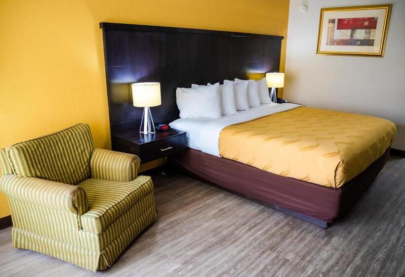 스탠다드 룸 킹사이즈 침대, Quality Inn Richmond Hill  Savannah I95