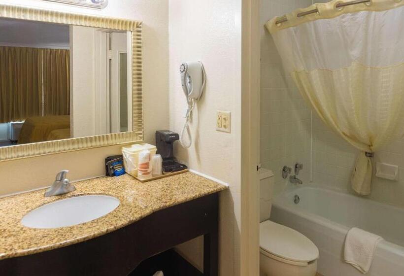 스탠다드 룸 킹사이즈 침대, Quality Inn Richmond Hill  Savannah I95