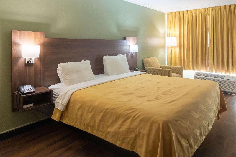 스탠다드 룸 킹사이즈 침대, Quality Inn Richmond Hill  Savannah I95