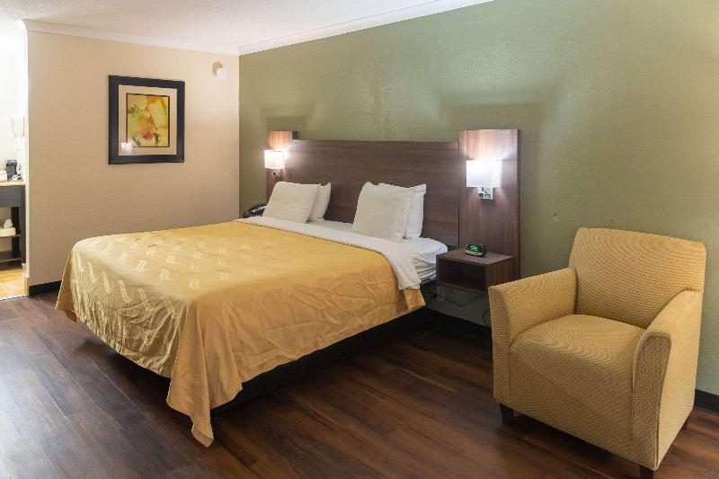 스탠다드 룸 킹사이즈 침대, Quality Inn Richmond Hill  Savannah I95