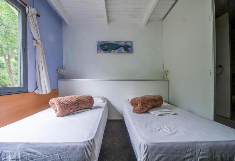 اتاق استاندارد چهار تخته, Mundaka Hostel Y Bar
