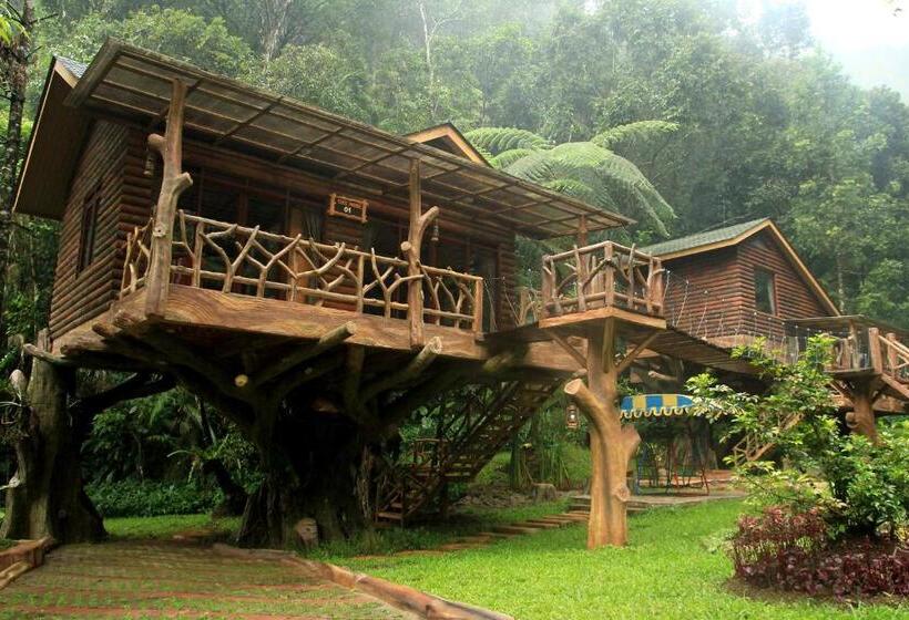 Дом 2 Спальни, Safari Resort