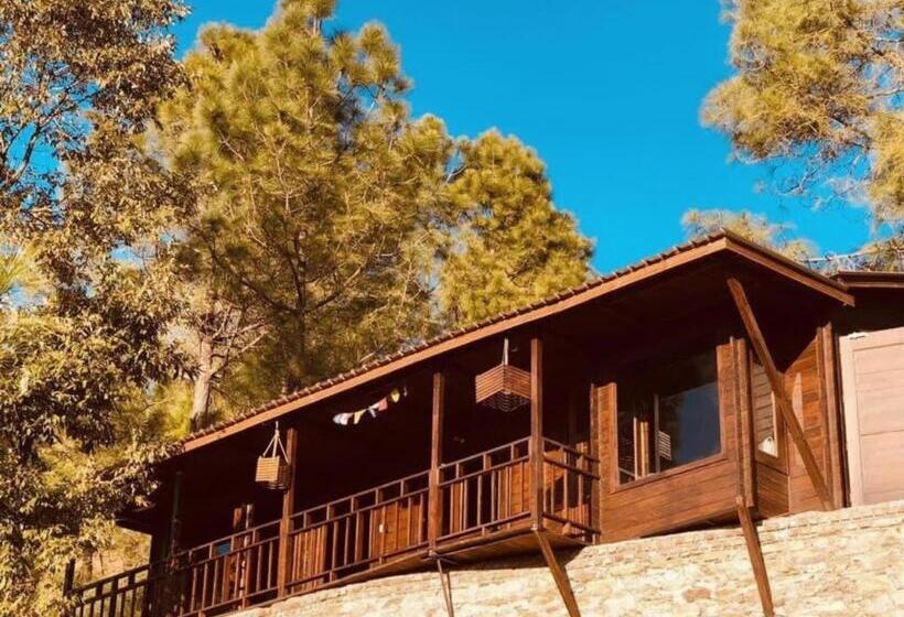 Дом 1 Спальня, Sukoon Nature Retreat Near Bhatrojkhan Ranikhet