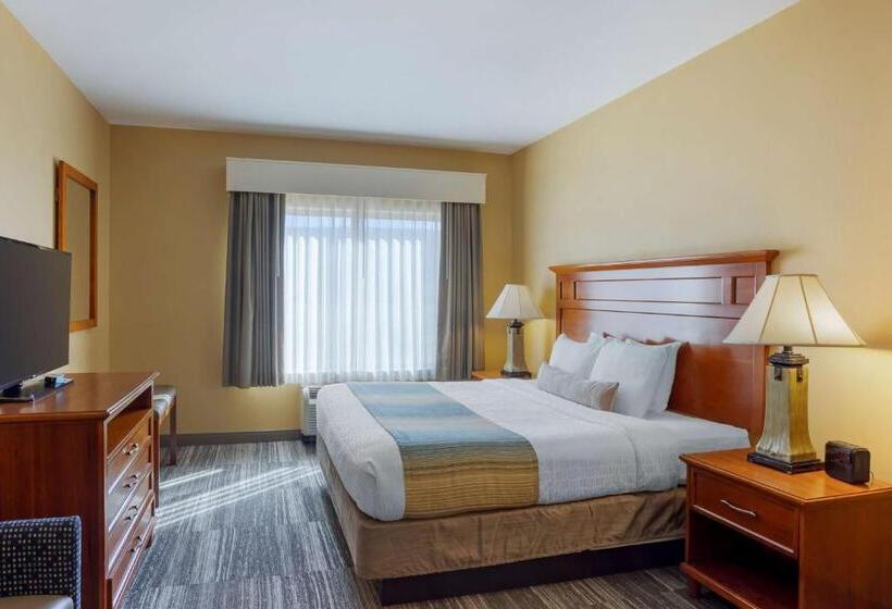 Стандартный Номер Кровать Кинг, Best Western Plus University Park Inn & Suites