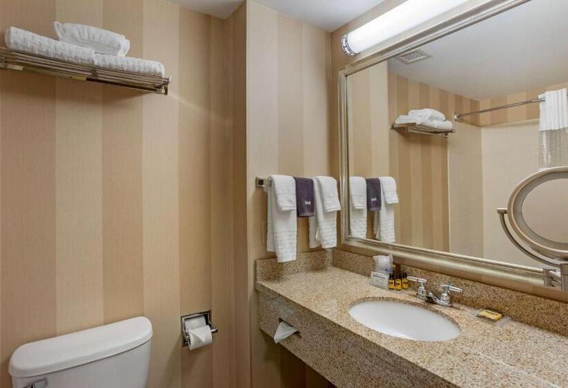 Стандартный Номер Кровать Кинг, Best Western Plus University Park Inn & Suites
