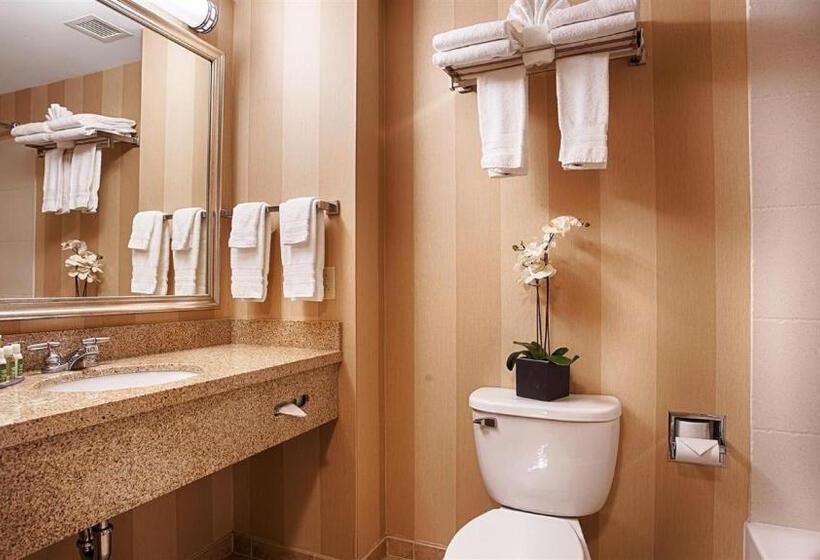 Номер Стандарт Кровать Кинг Адаптированный для Инвалидов, Best Western Plus University Park Inn & Suites