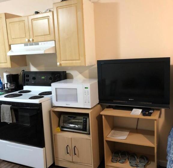 标准工作室, Shady Willow Guest House   For Tourists & Travellers Only, No Locals, Private Small Compact Rooms Wi