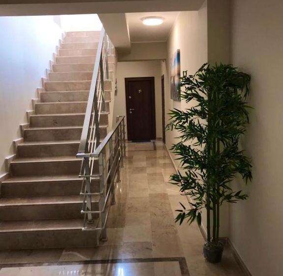 استودیوی لوکس, Rohan Studio One