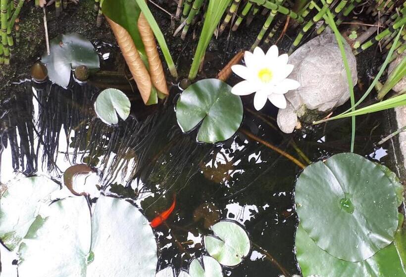 Номер Стандарт Вид на Сад, Le Moulin Neuf De Parenty