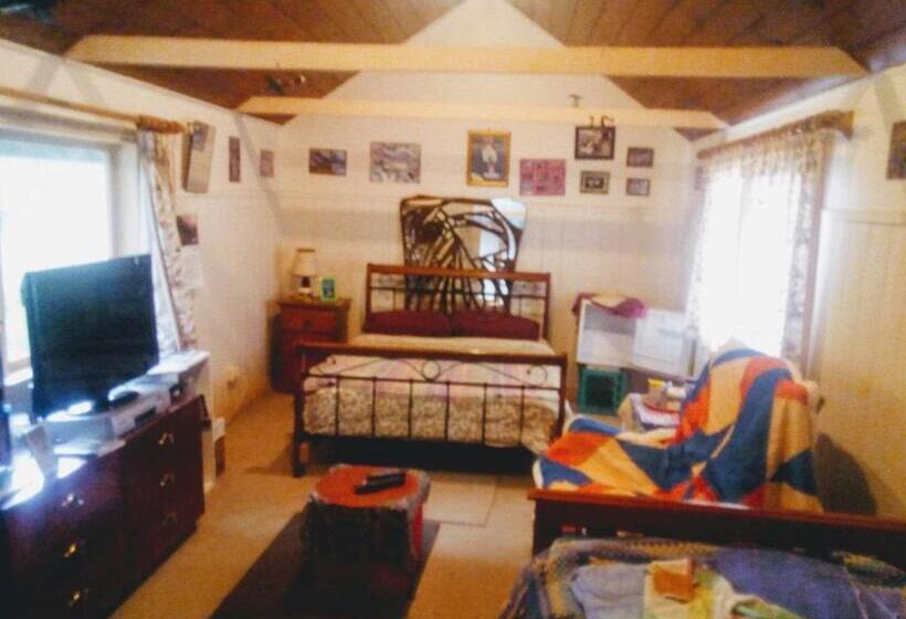 스탠다드 룸, Sylvia Lodge A Step Back In Time Pet Friendly Homestay