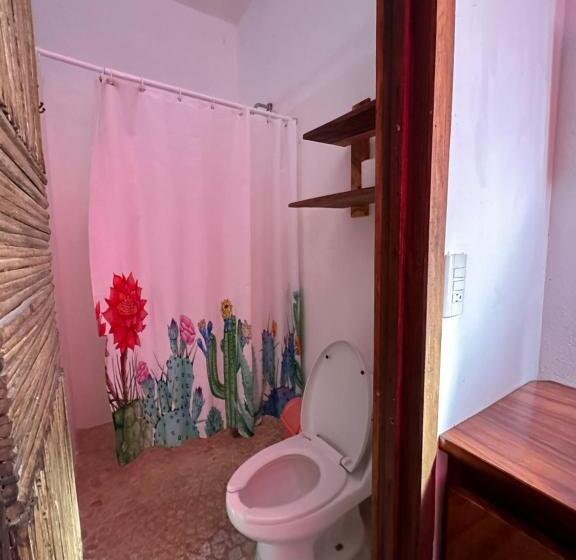 استودیوی استاندارد, Casa Kokoná