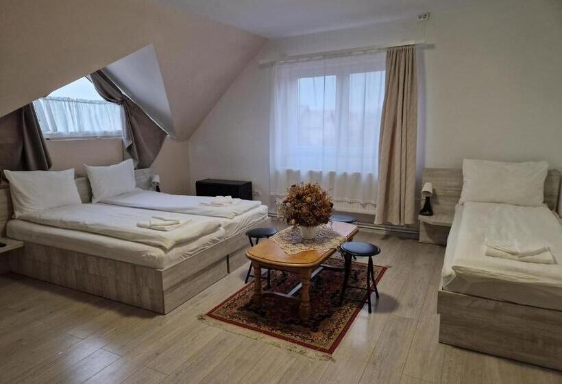 اتاق استاندارد سه نفره, Sepsi Relax