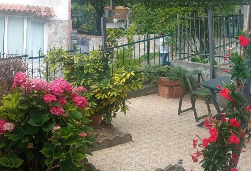 Номер Стандарт, B & B Di Massimo C