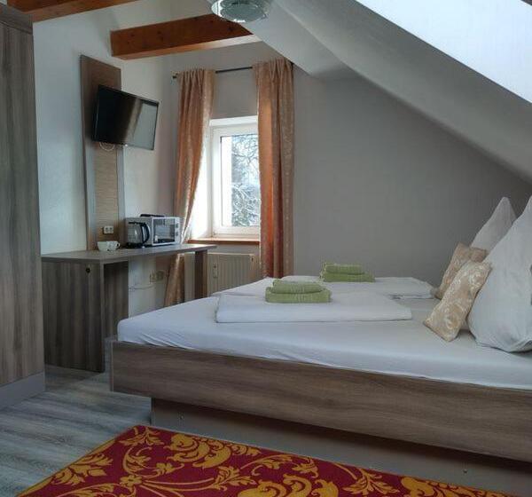 Трехместный Номер Deluxe, Pension Goldenes Vogtland