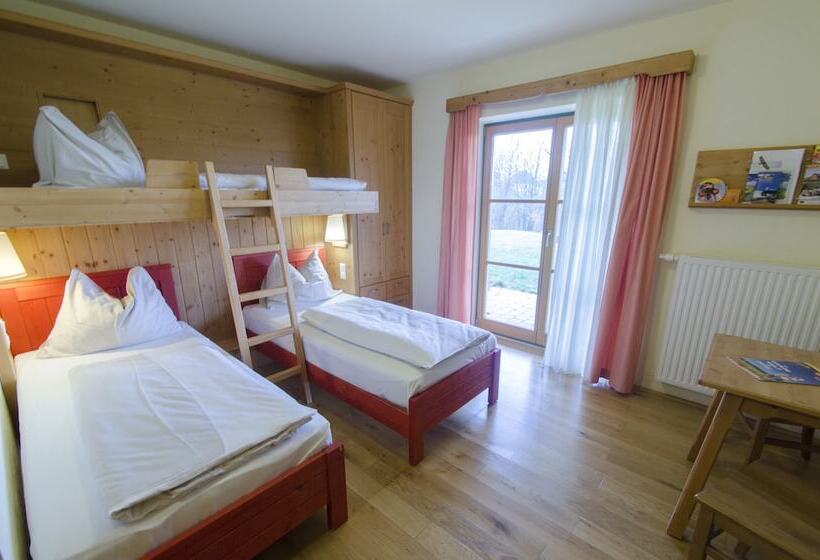 Трехместный Номер Superior, Jufa Hotel Tieschen