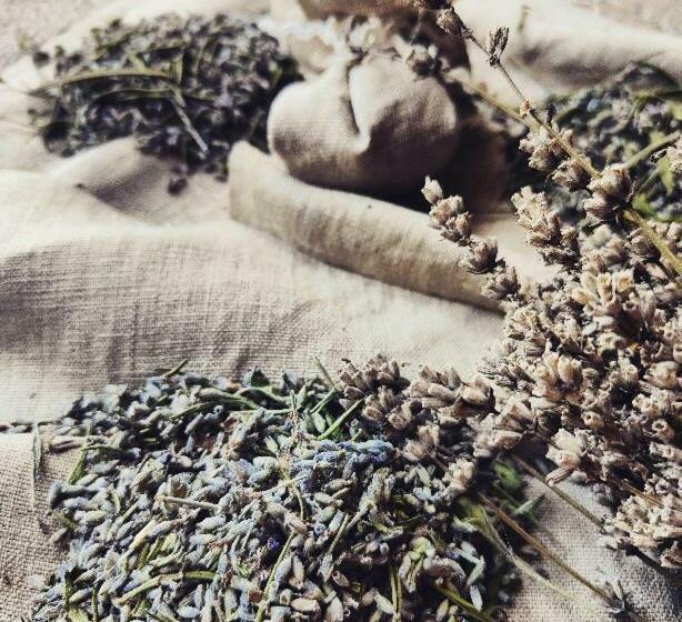 标准间, Monfrà   Ospitalità Rurale, Vigneti E Cantina
