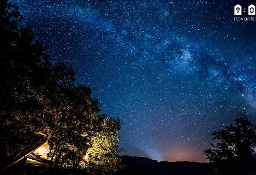 Номер Стандарт, Novanta Nature Retreat