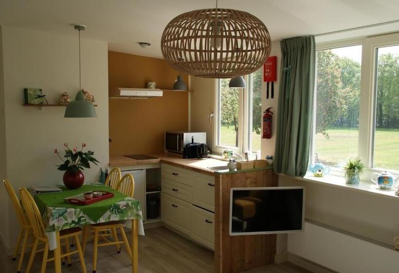 Апартаменты 2 Спальни, Vakantieboerderij  T Zand   Appartement