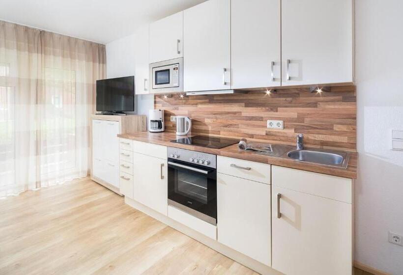 Апартаменты 1 Спальня, Appartement Haus Bracht  Direkt Am Kurplatz