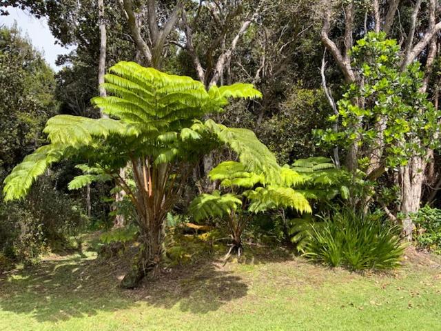 חדר סטנדרט עם מיטת קינג, Kilauea House