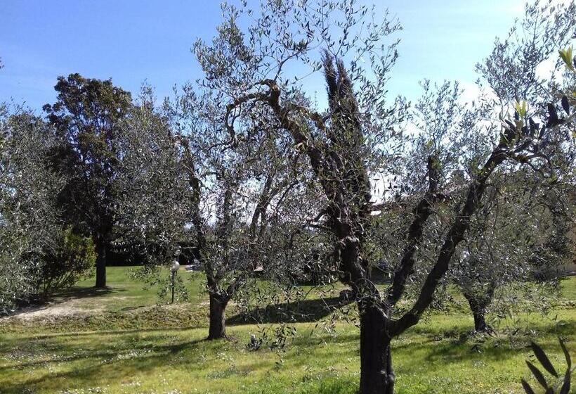 خانه 1 خوابه, Agriturismo Le Chiare Stelle