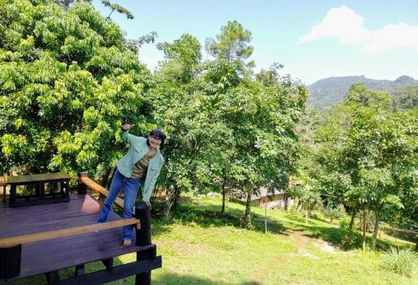 اتاق استاندارد با بالکن, Jungle Guesthouse