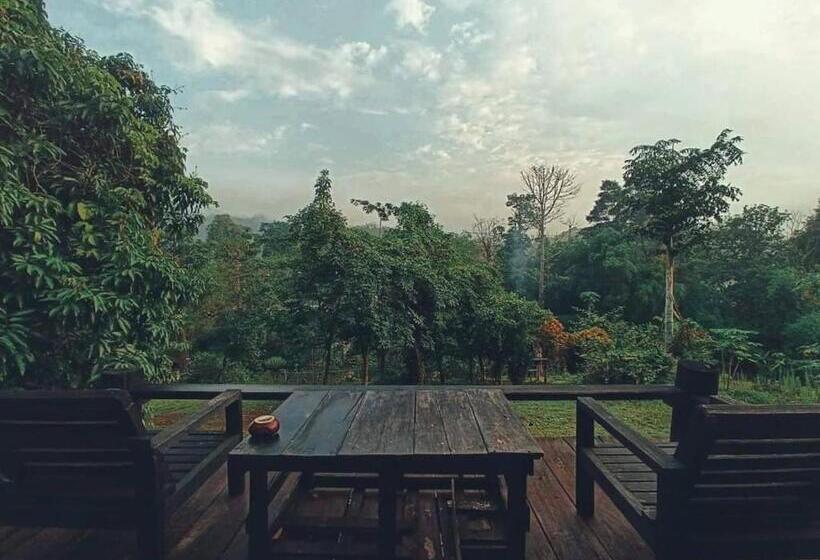 اتاق استاندارد با تخت بزرگ, Jungle Guesthouse