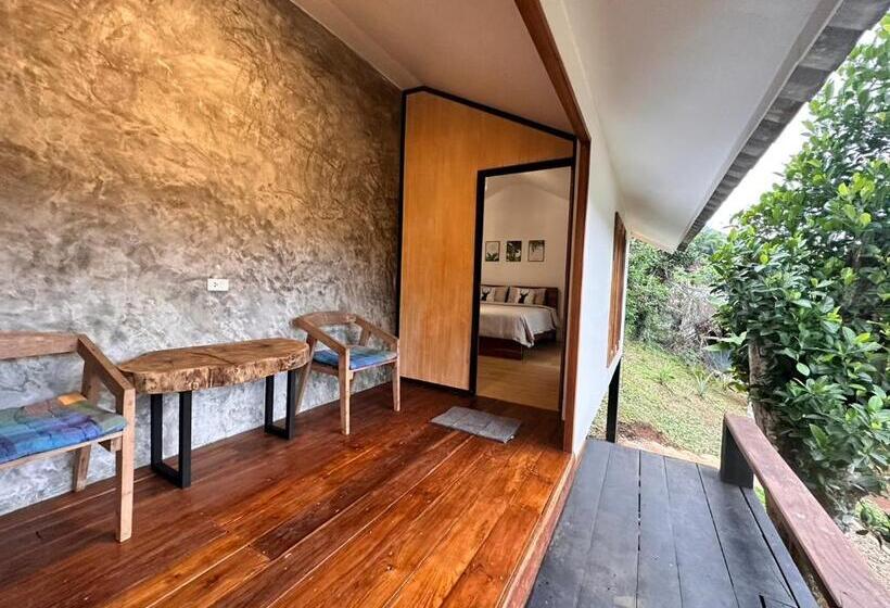 اتاق سوپریور با تخت بزرگ, Jungle Guesthouse