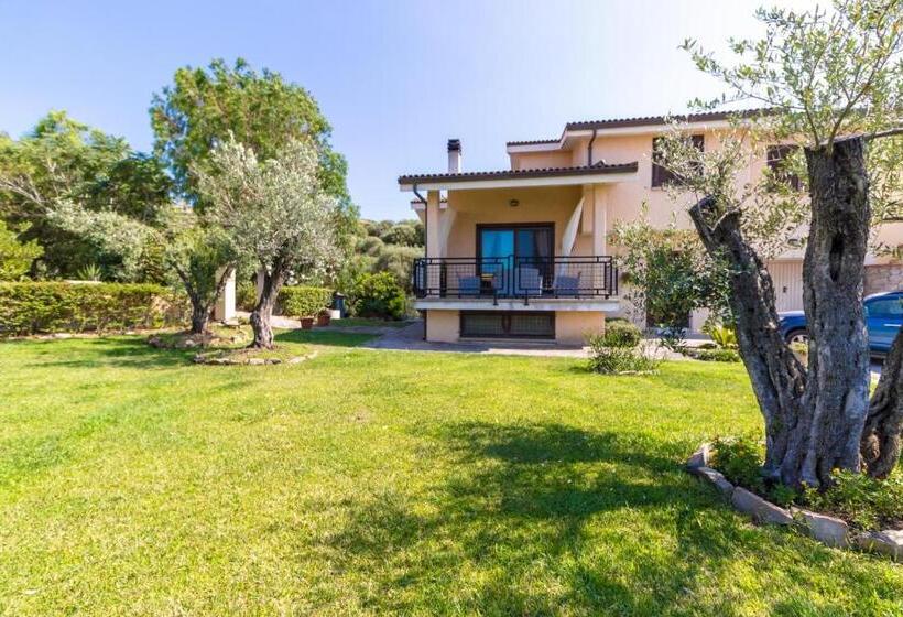 اتاق استاندارد, Il Giardino Degli Ulivi