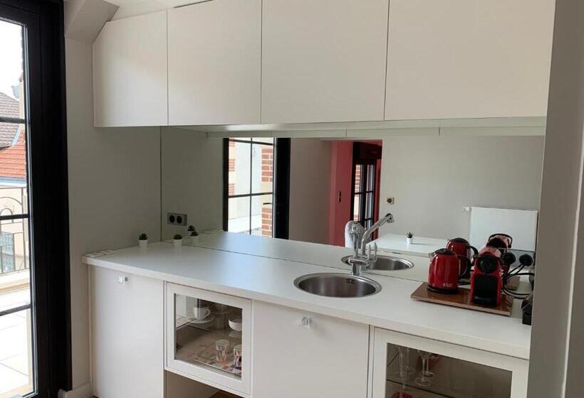 Люкс с Террасой, L Appartement Et Les Suites De Vjl..
