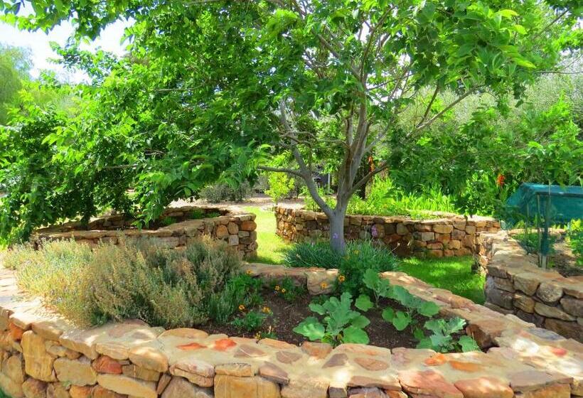 Номер Deluxe Кровать Кинг, Olive Grove House