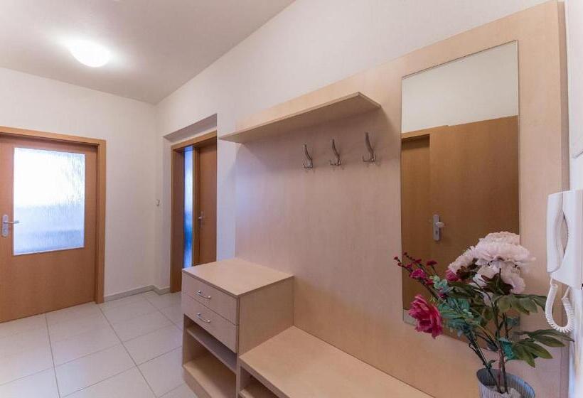 带1个卧室的带阳台的公寓, Apartmán U Lázní D23