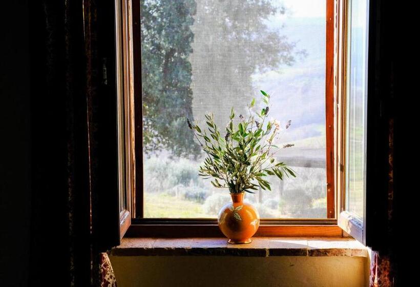 Апартаменты Deluxe 1 Спальня, Agriturismo Poggio Monte Saturnia
