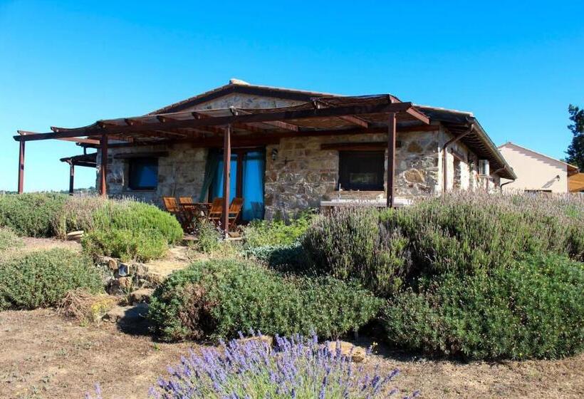 Дом 3 Спальни, Agriturismo Poggio Monte Saturnia